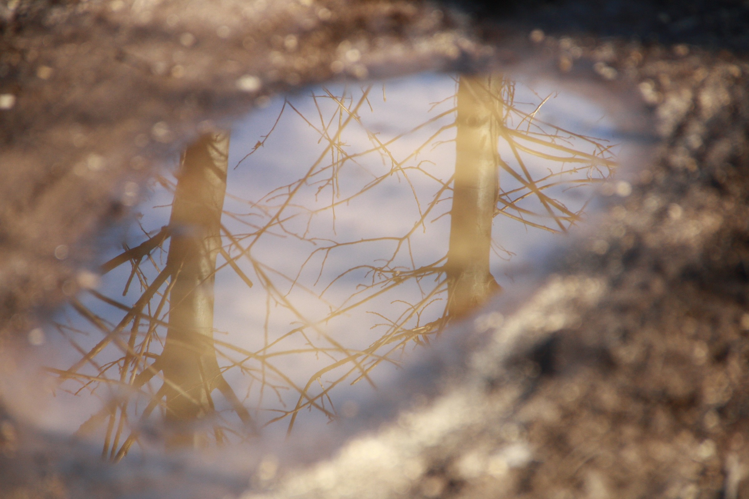 l'occhio della natura