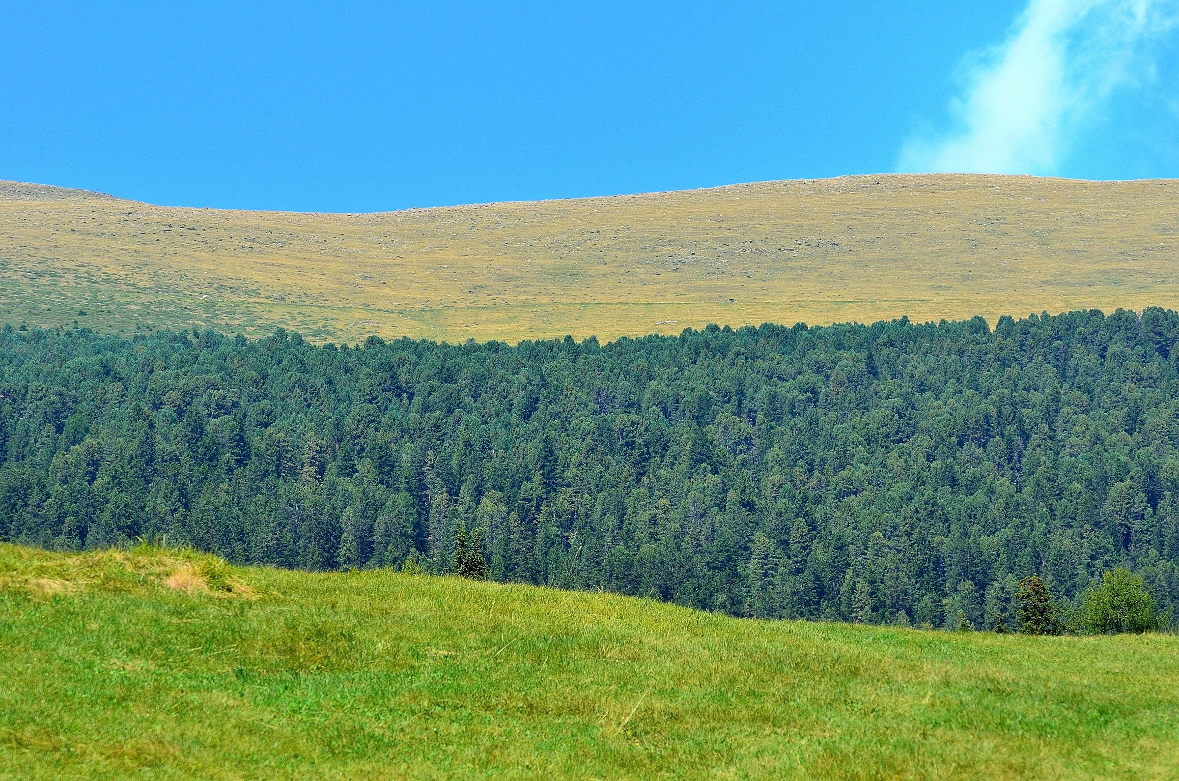 Landscape stile..Fontana ....