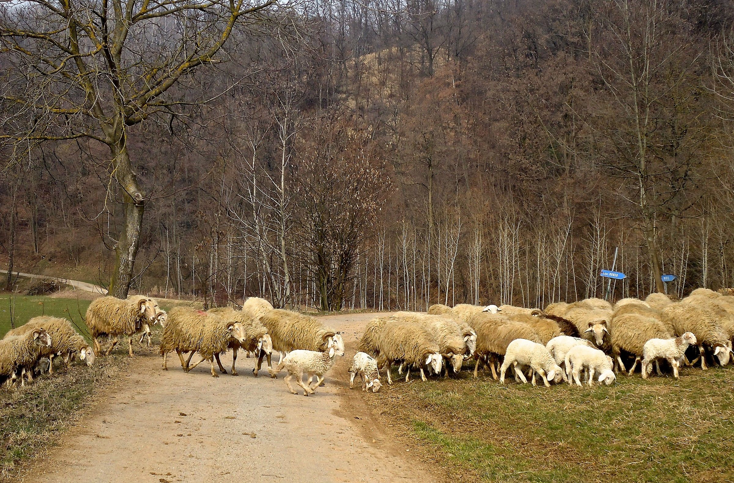 Indications for salvation