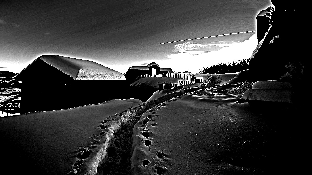 bianco e nero quasi notte