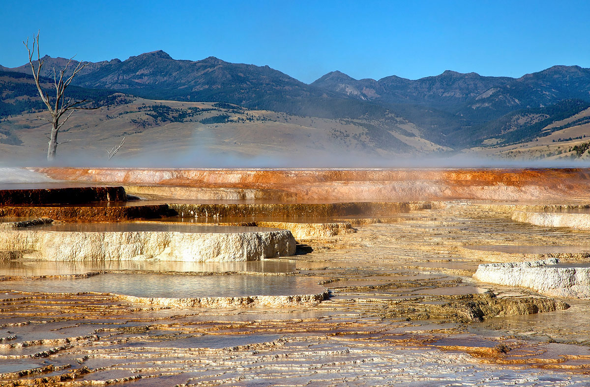 Yellowstone national park