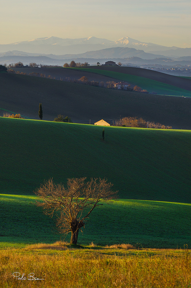 ... Row row three and tree