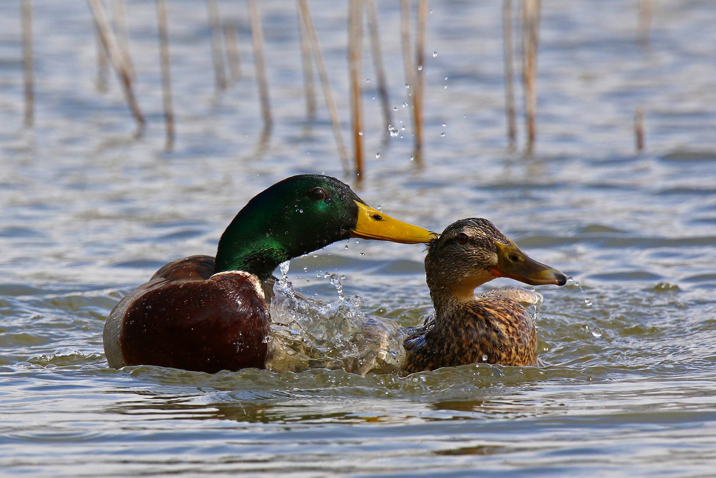 An overbearing approach