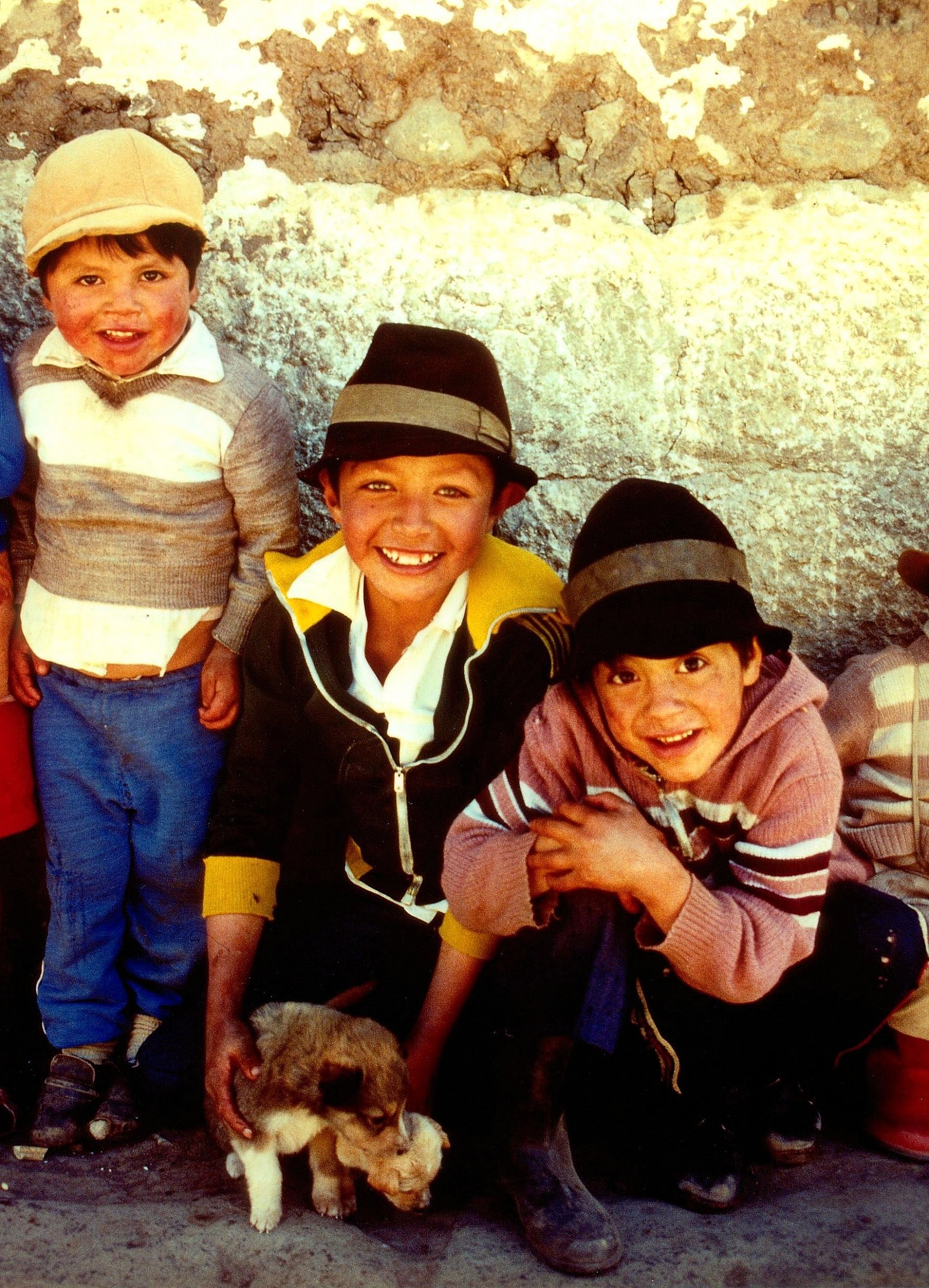 Bimbi con cuccioli (Achupallas-Ecuador)