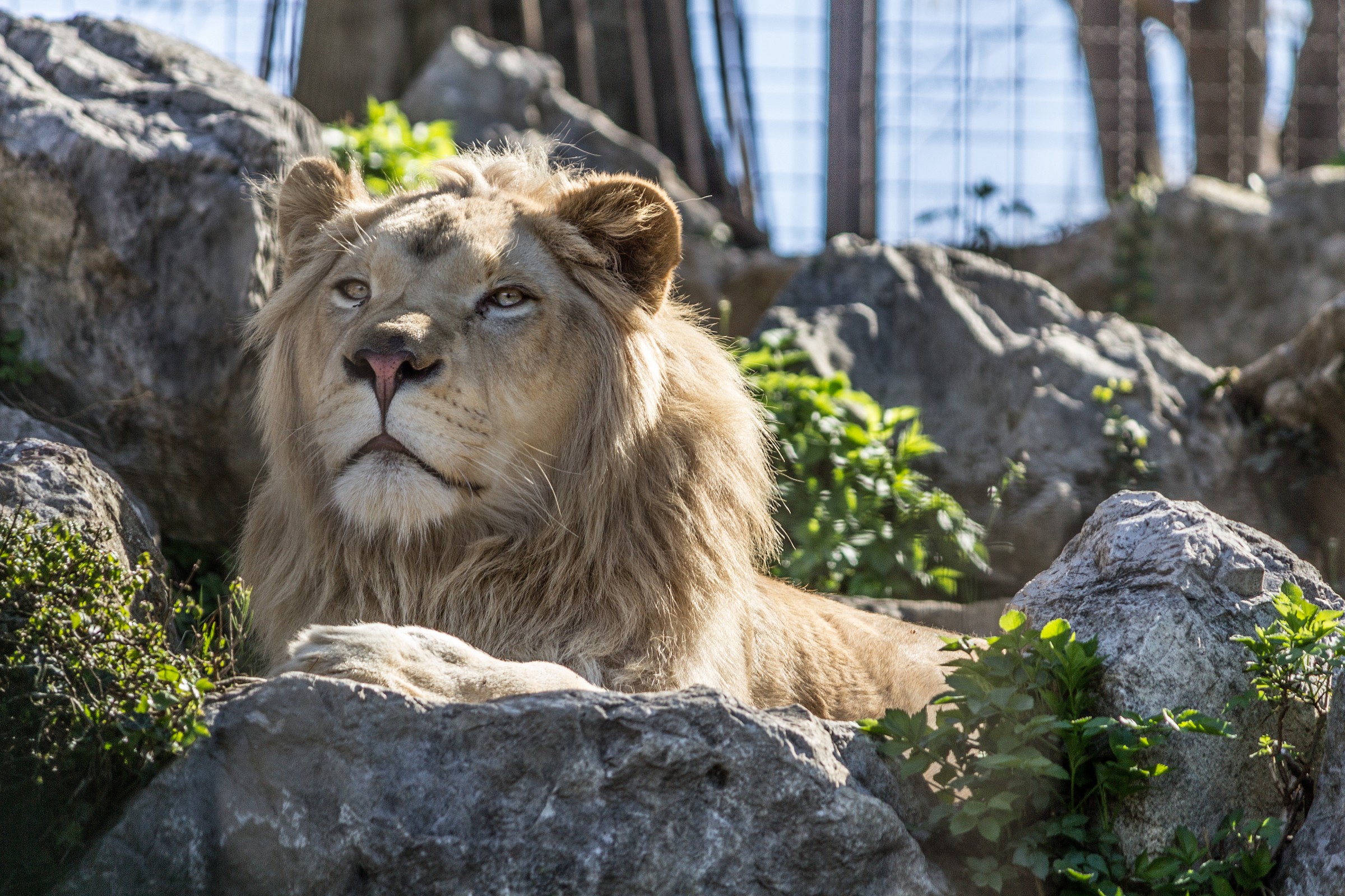 Fauna park Le Cornelle Bergamo