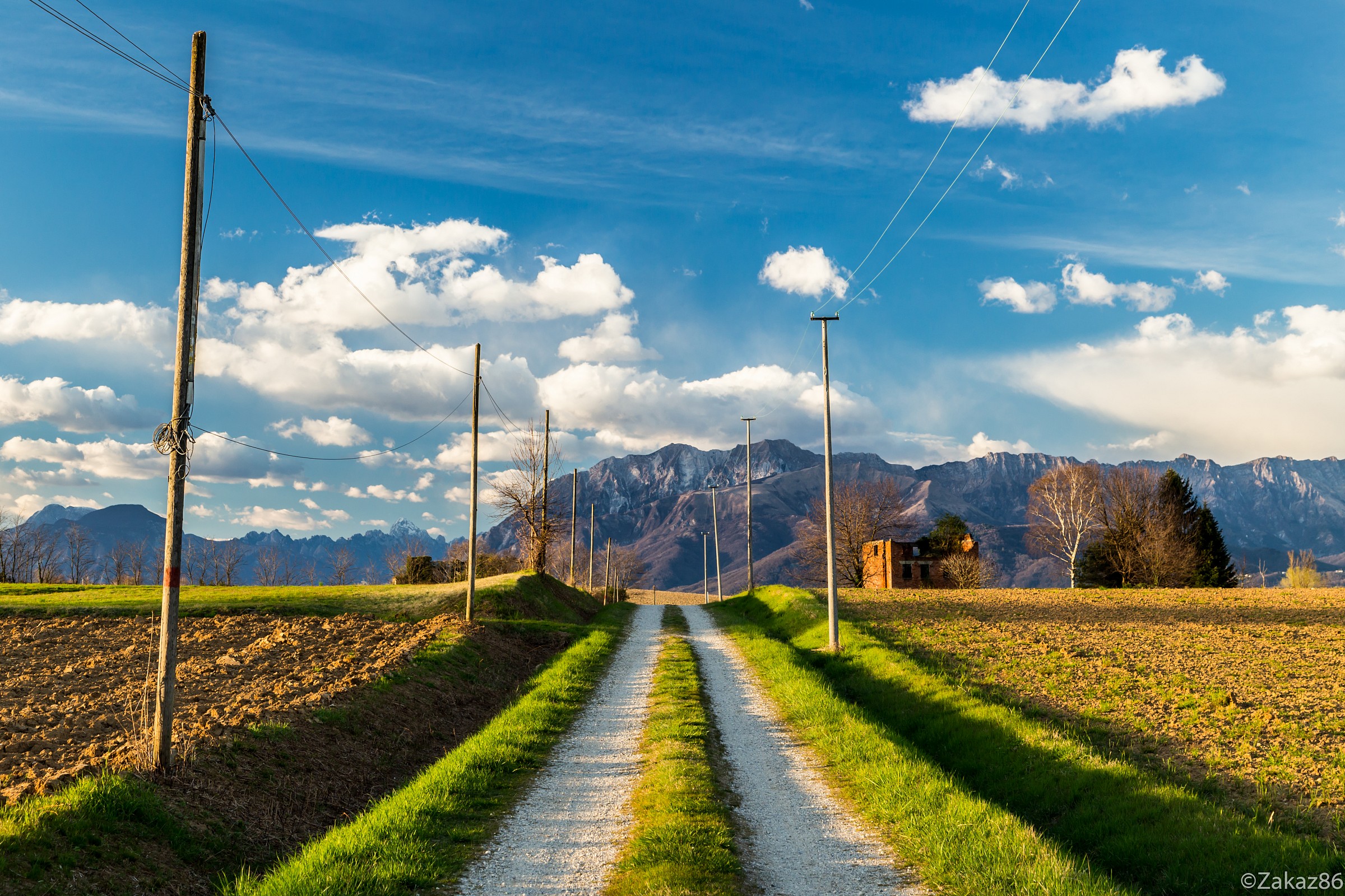 Evening in the fields ...