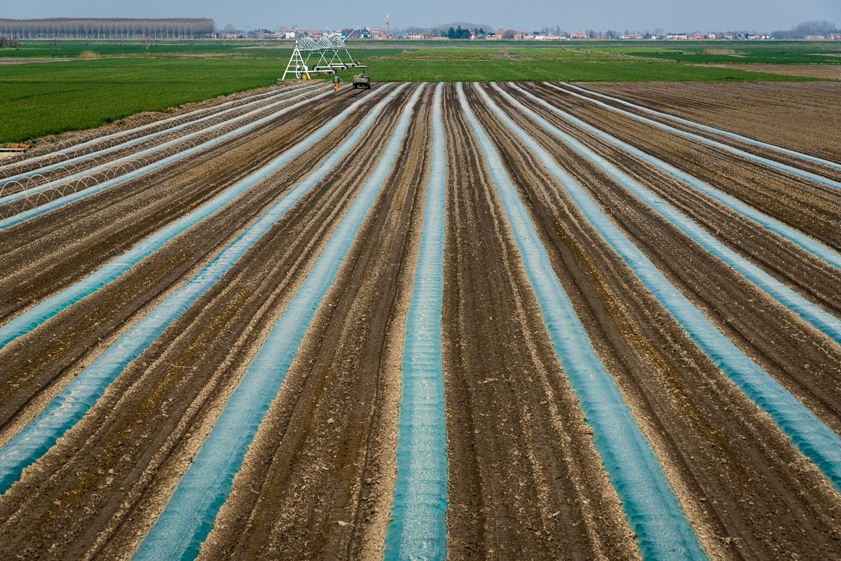 Parallel convergences