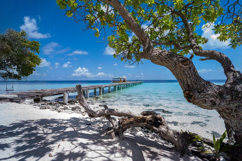 Maldives 2015