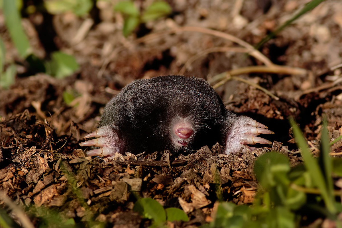 Wake up .. !! ... it's time to get up ...