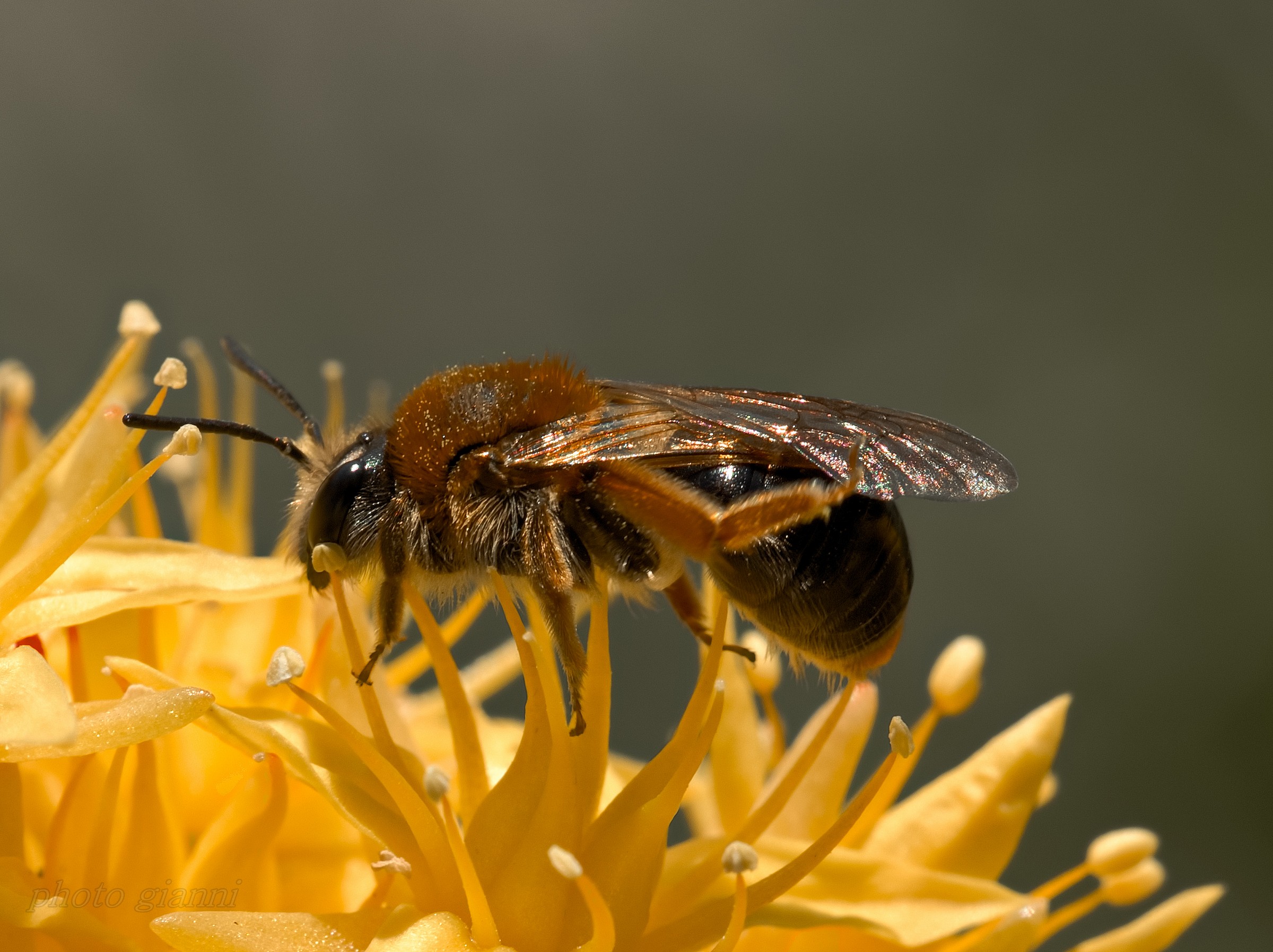 anche l'occhio vuole la sua parte