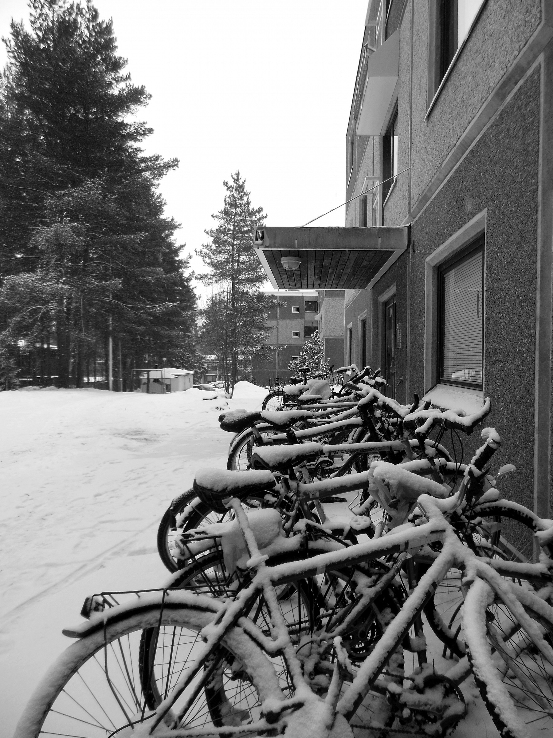 Bikes that are not afraid of the snow