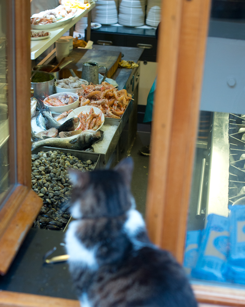 Appetite comes looking