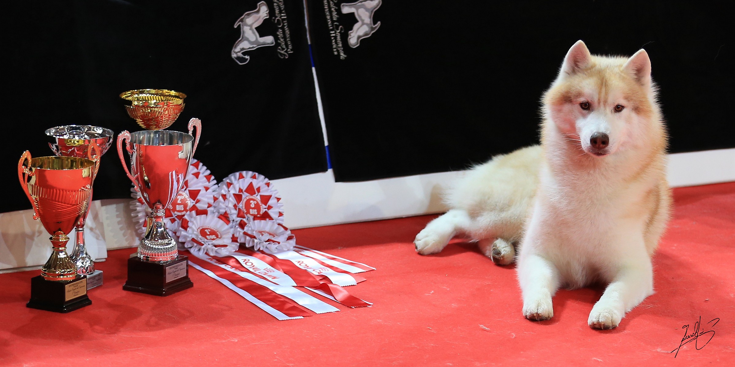 The Best Is Only One!