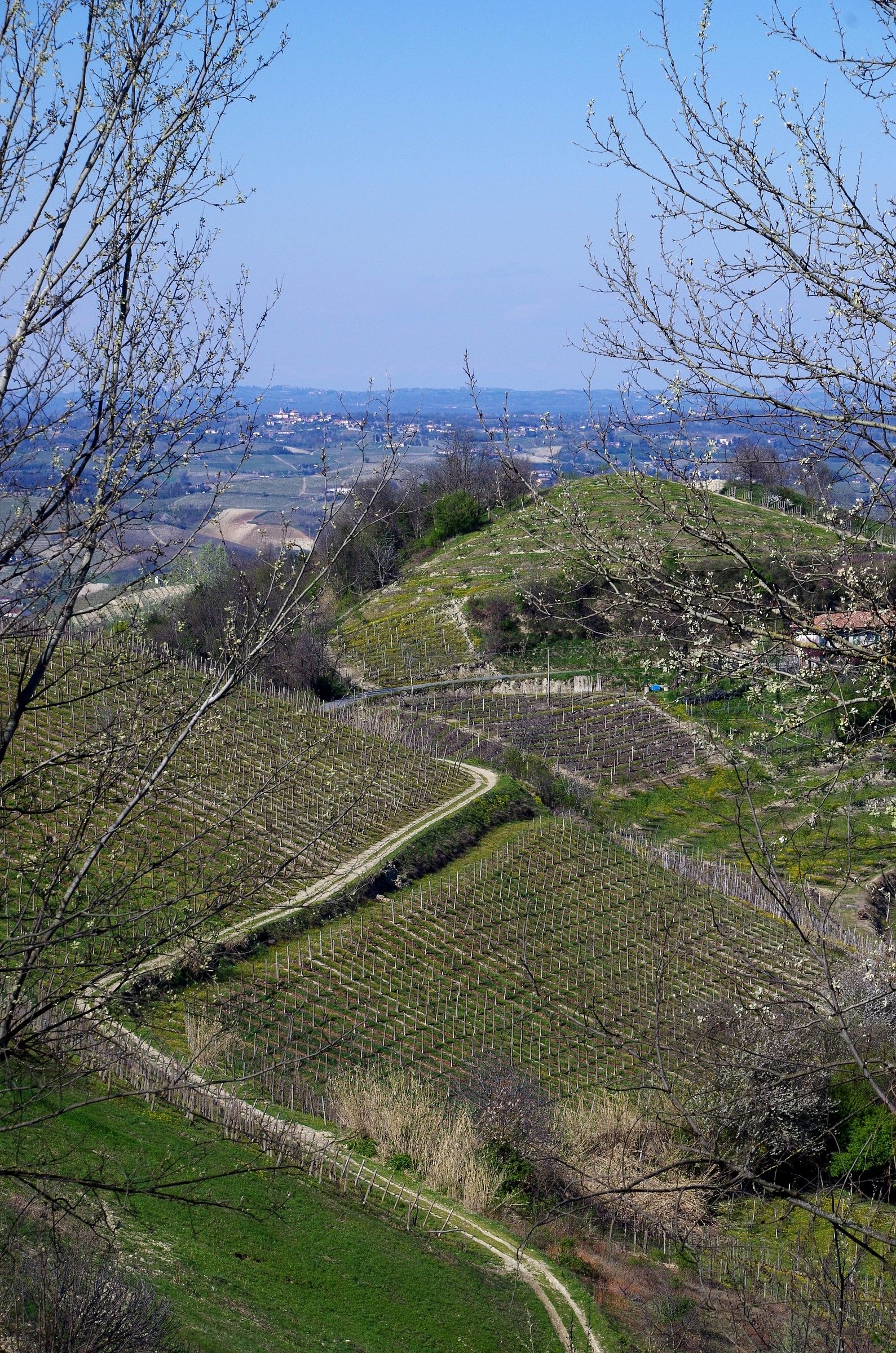Easter Monday in the Langhe