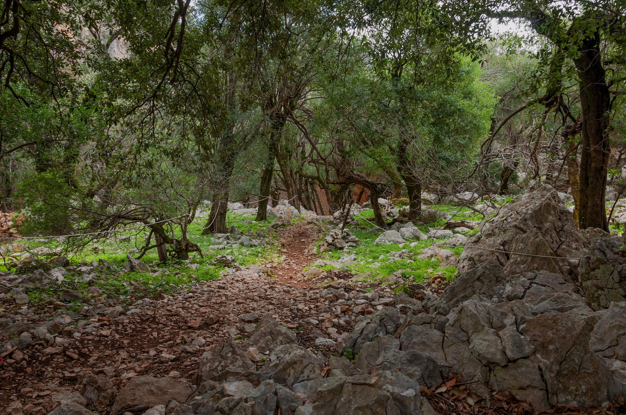 Inside the sinkhole of Tiscali