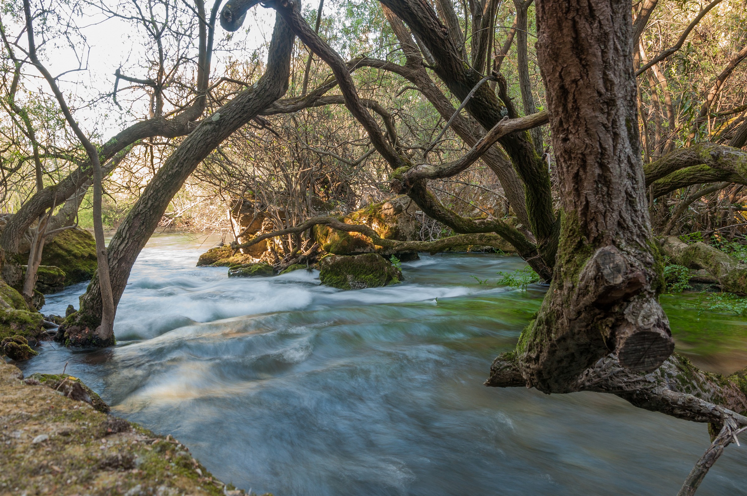 Su Gologone - Torrente