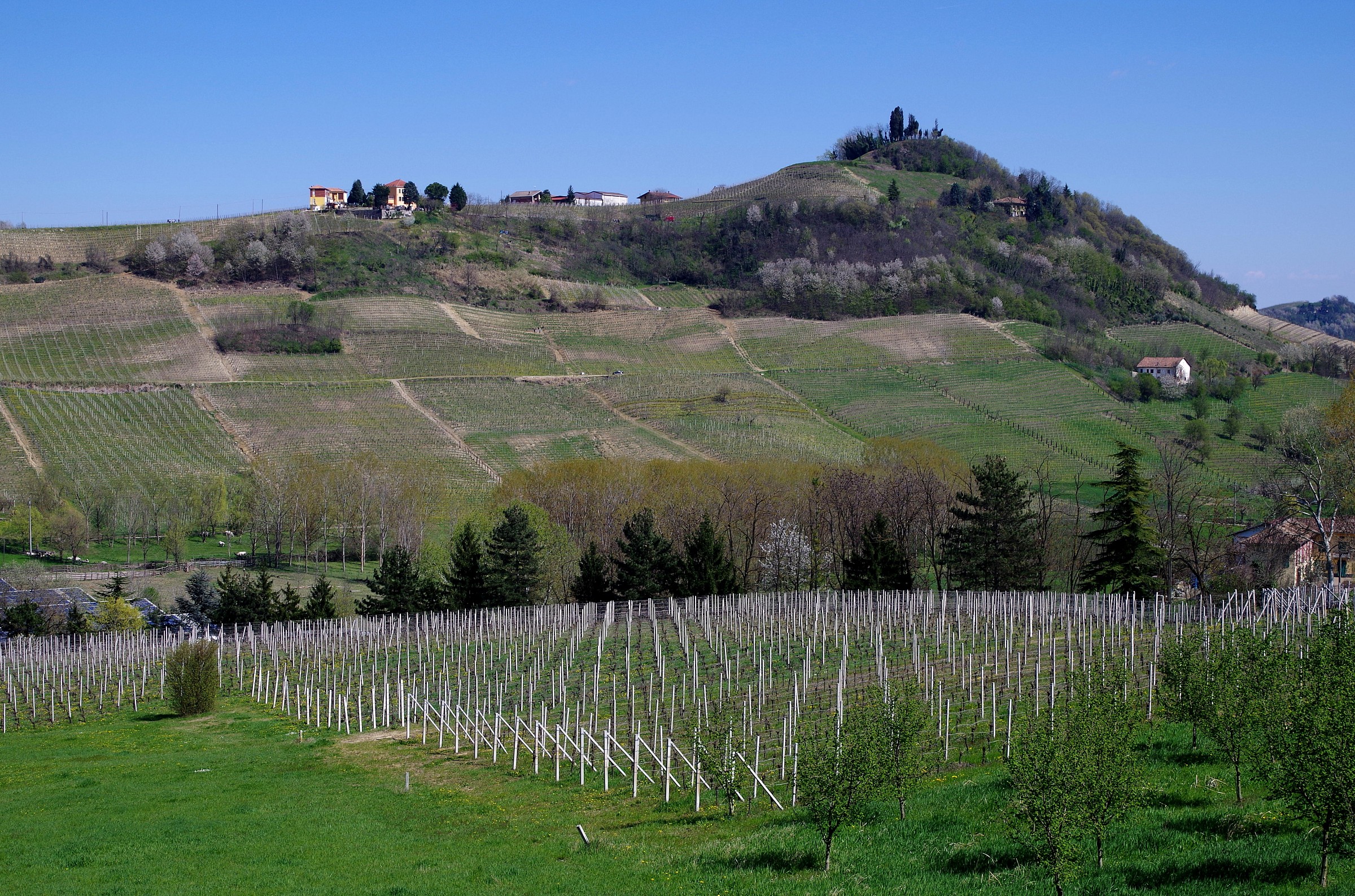 landscape of the Langhe