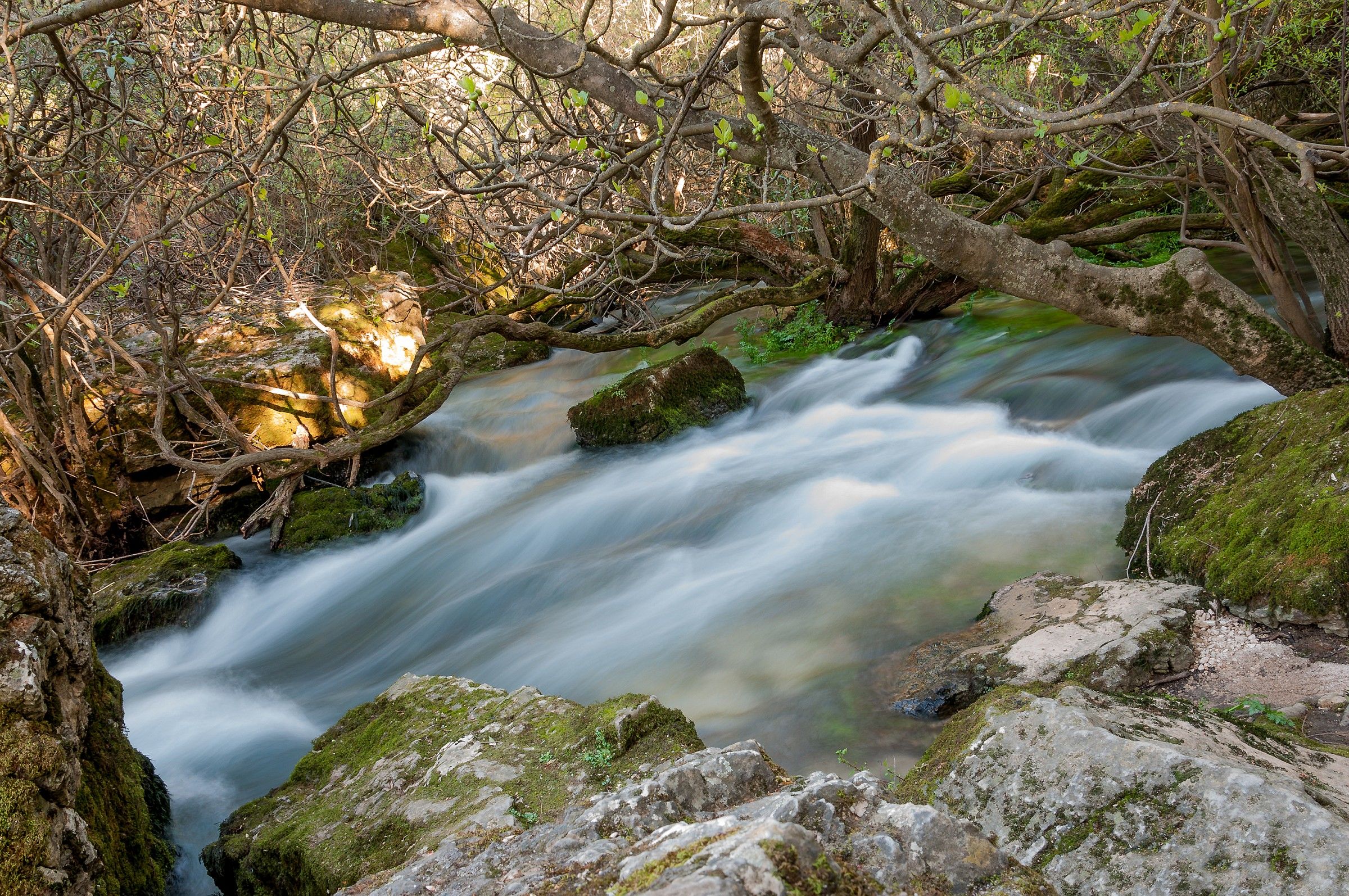 Su Gologone - Torrente