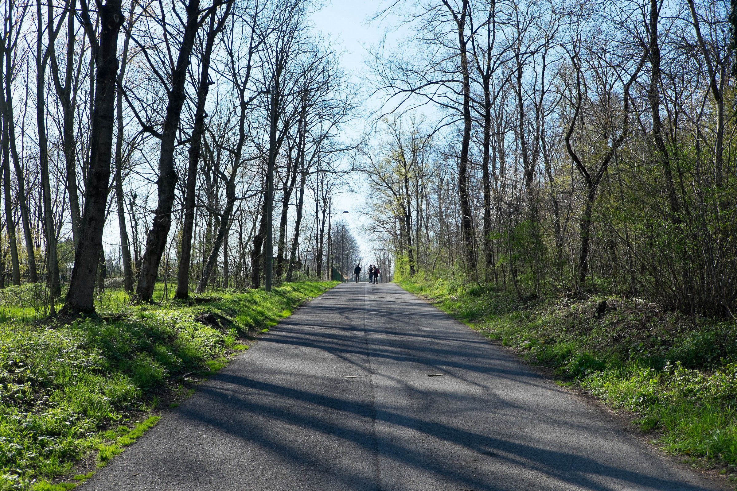 Walking Away #1 - Oleggio Parco del Ticino