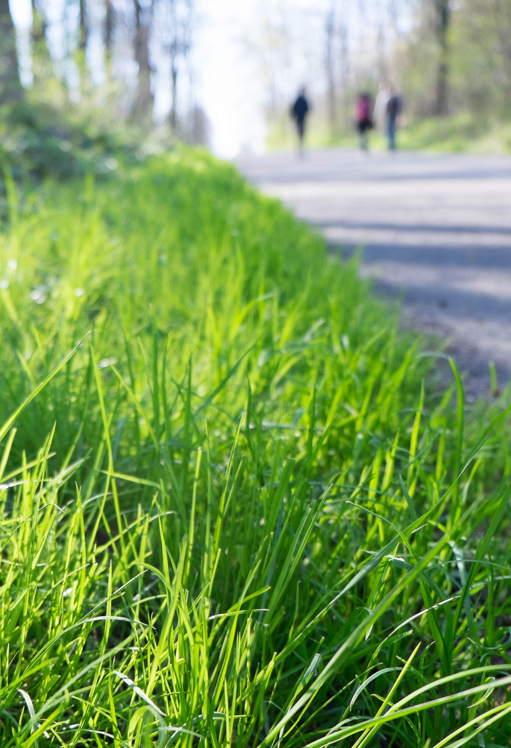 Walking Away #2 - Oleggio Parco del Ticino