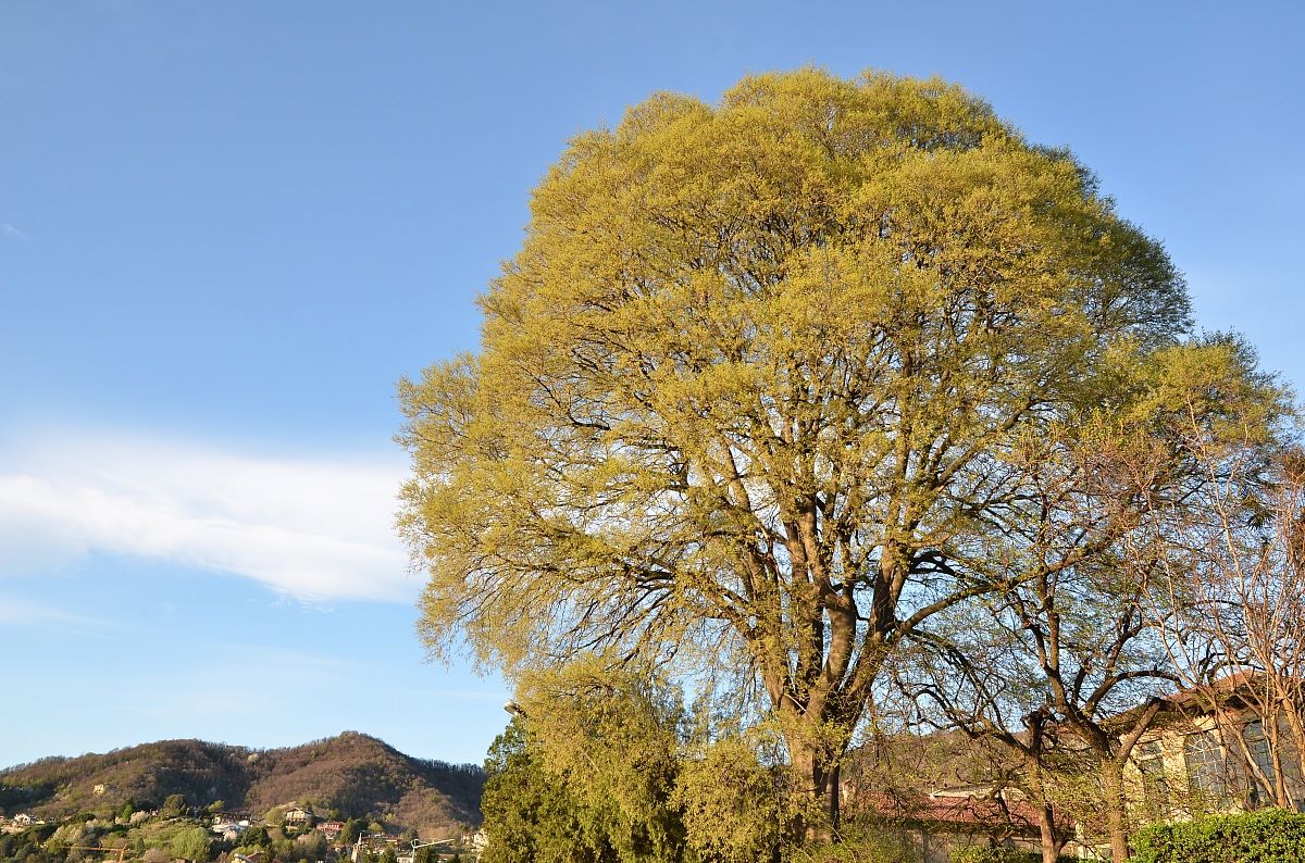 Villa d'Adda - strada per Brivio Lecco