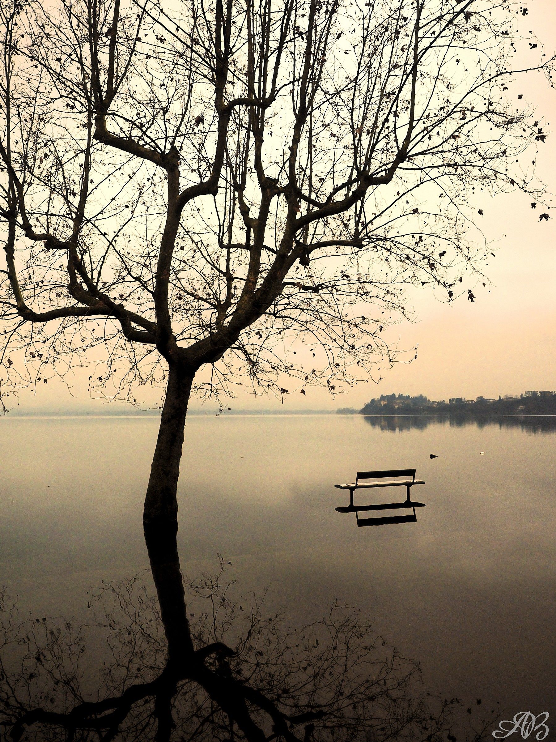 Loneliness reflected