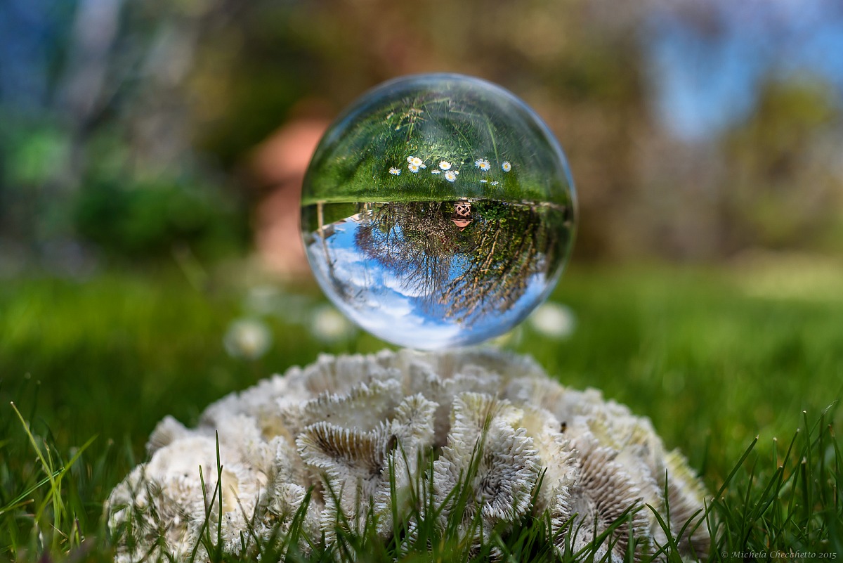 Se il Mondo è rotondo...