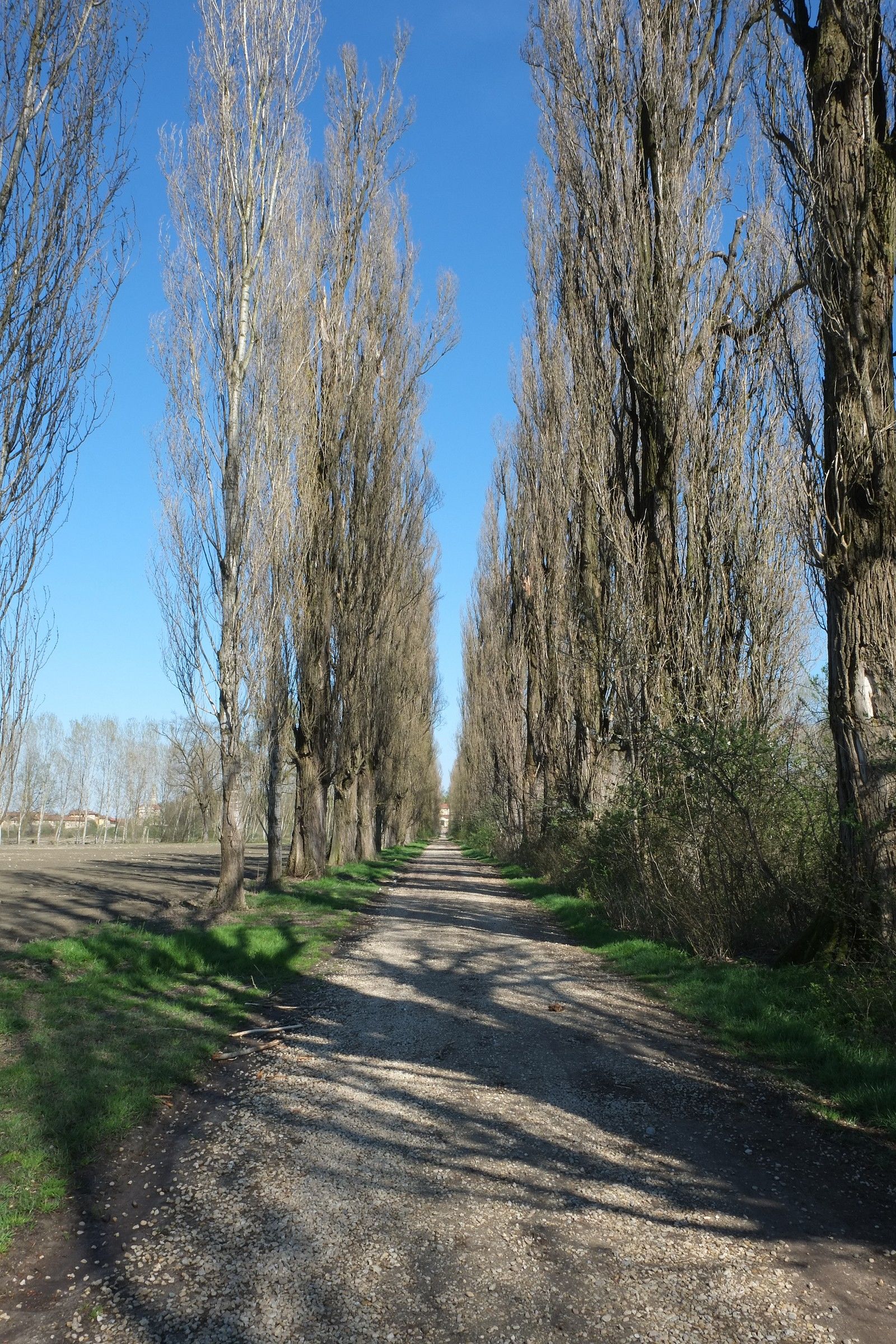 via di campagna