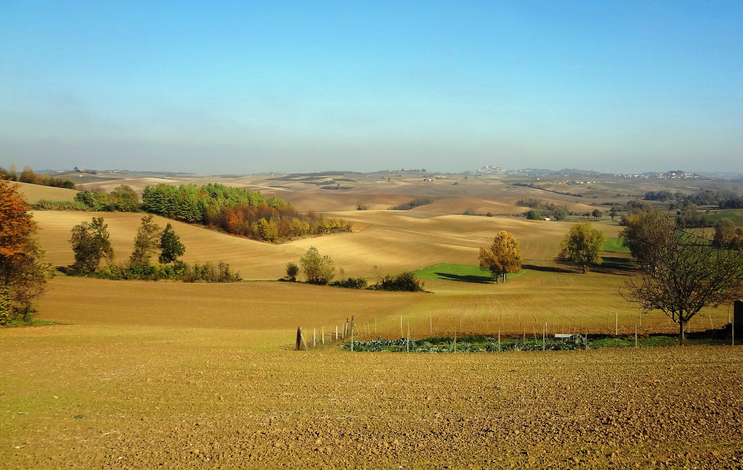 Monferrato