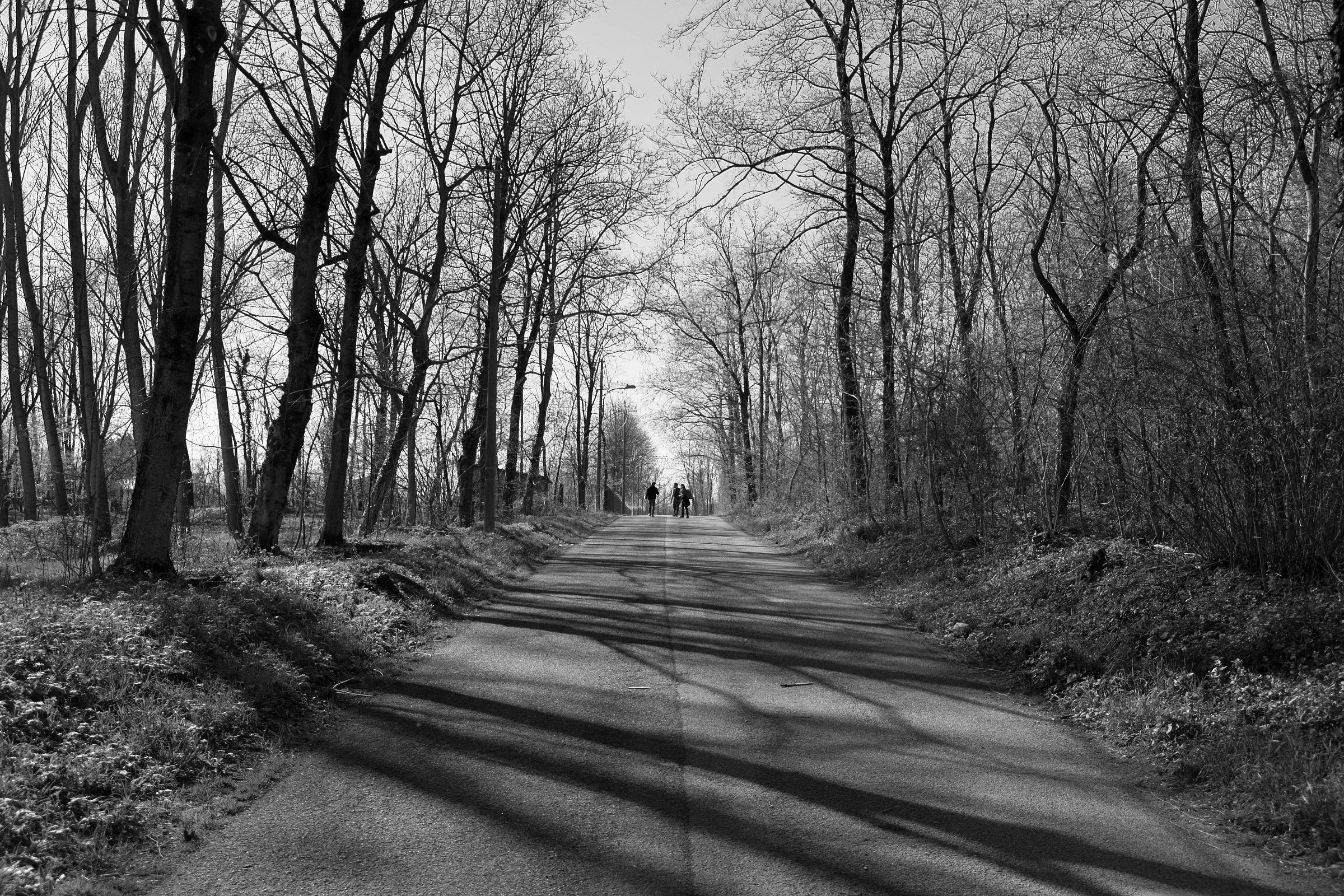 Walking Away #1.1 - Oleggio Parco del Ticino