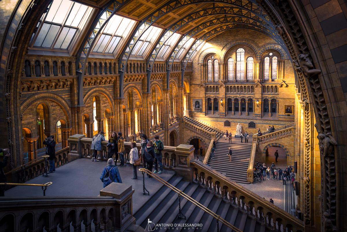 Natural History Museum