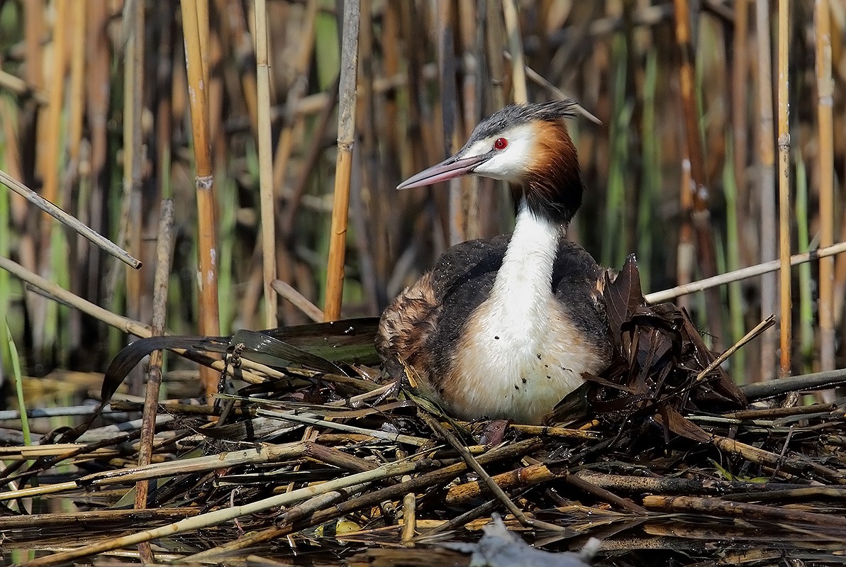 è ora di mettere su casa...