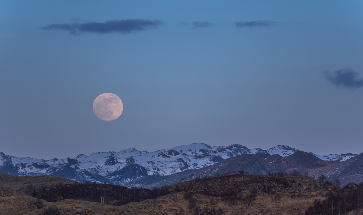 Buona notte e.... sogni d'oro, a tutti!