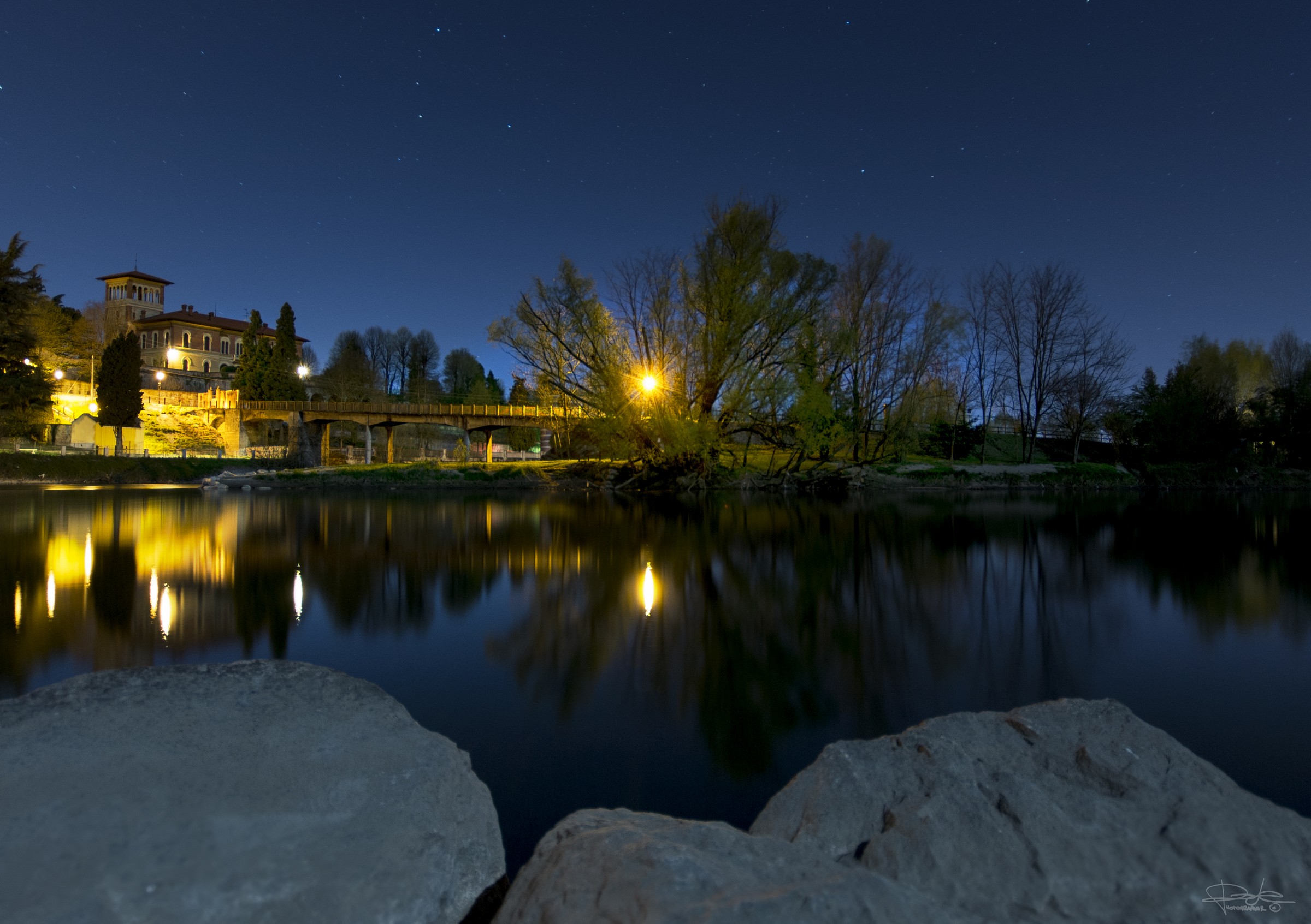 alberello a Cassano d/a