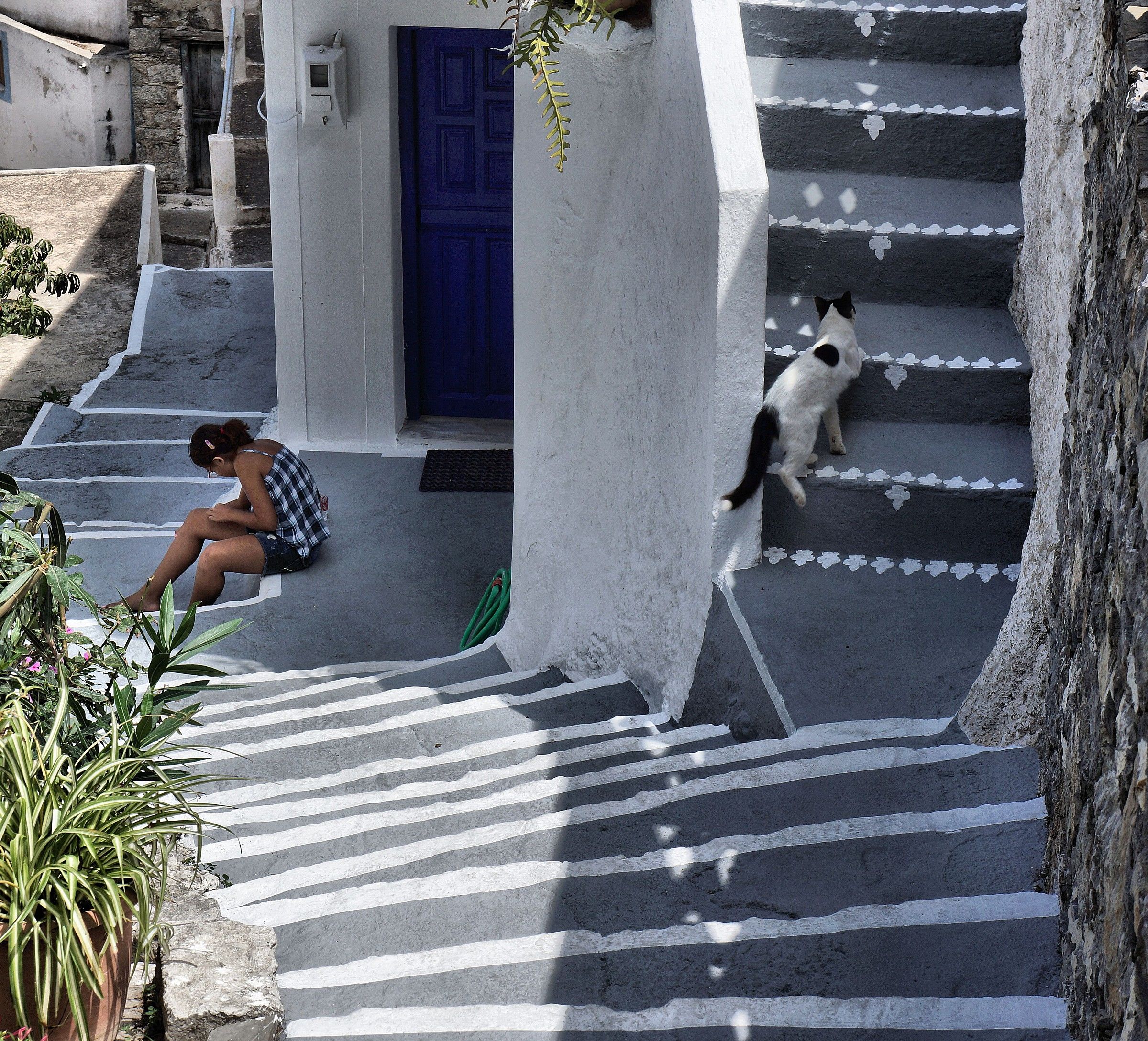 Sulle le scale di Olimpos