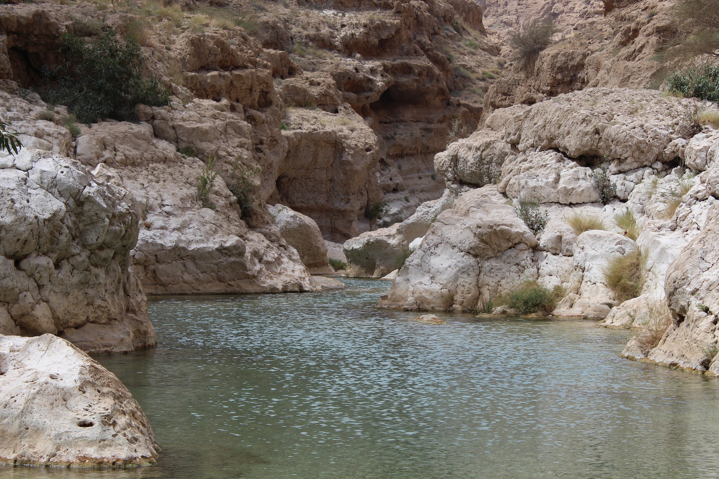 another glimpse of the wadi sahab