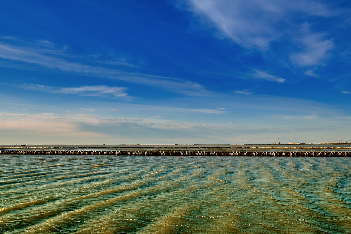 Laguna Chioggia rippled by the wind