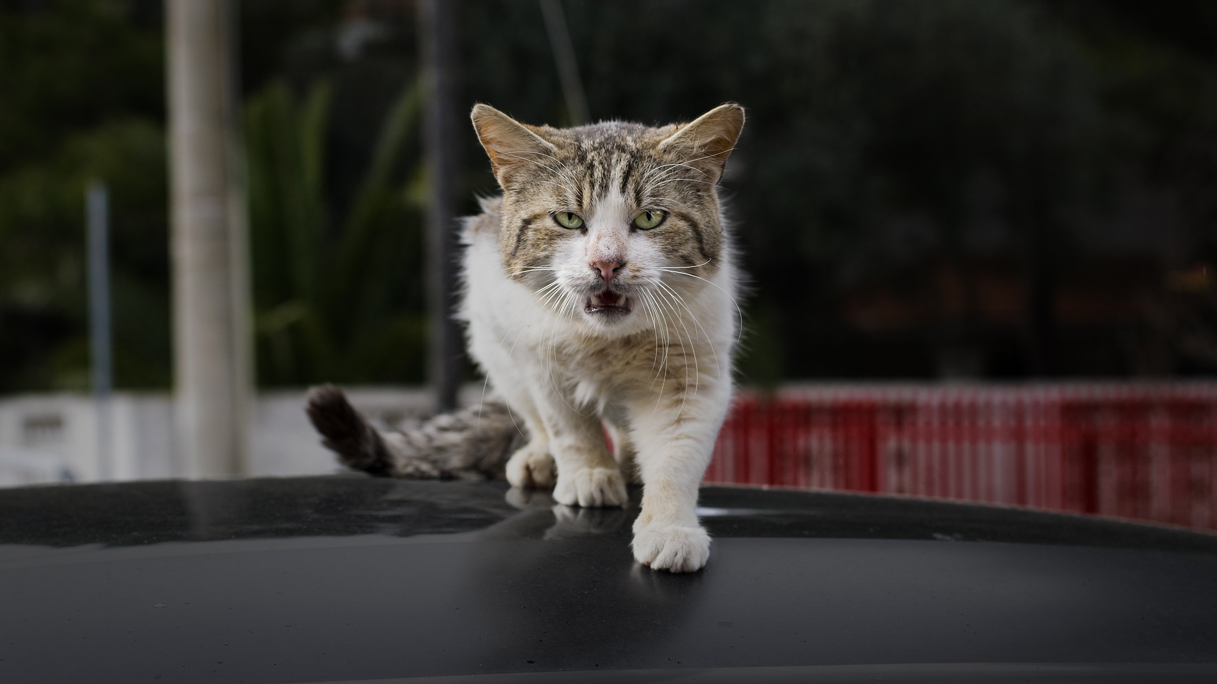 Un altro passo.. e sei morto!!