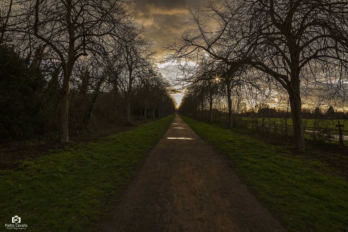 La lunga strada di Richmond park