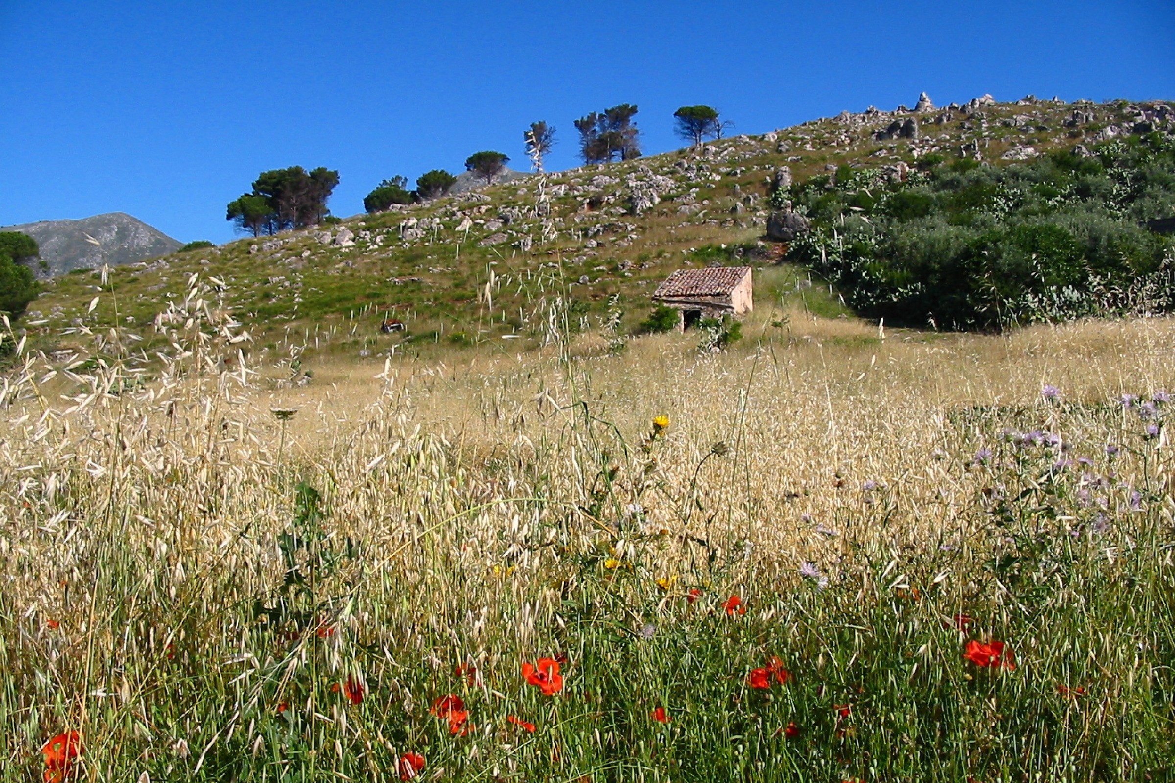 House on the Prairie