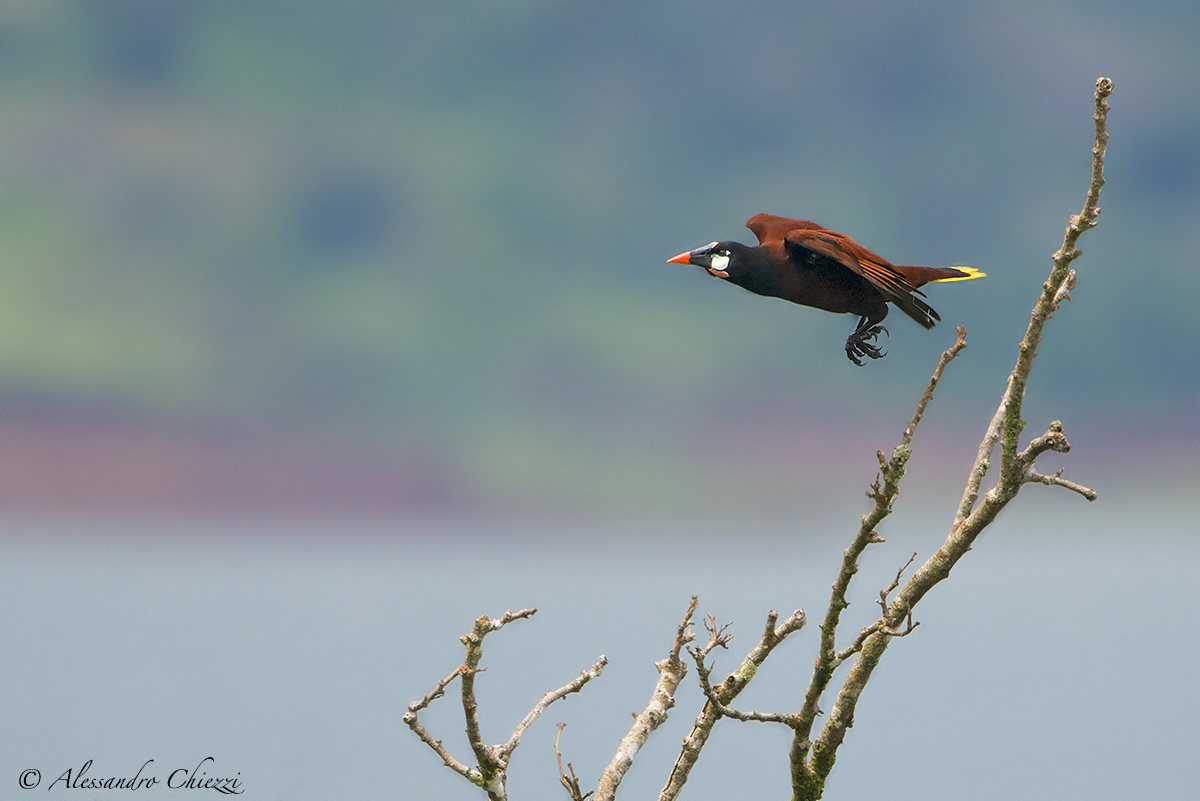 Takeoff to the Arenal