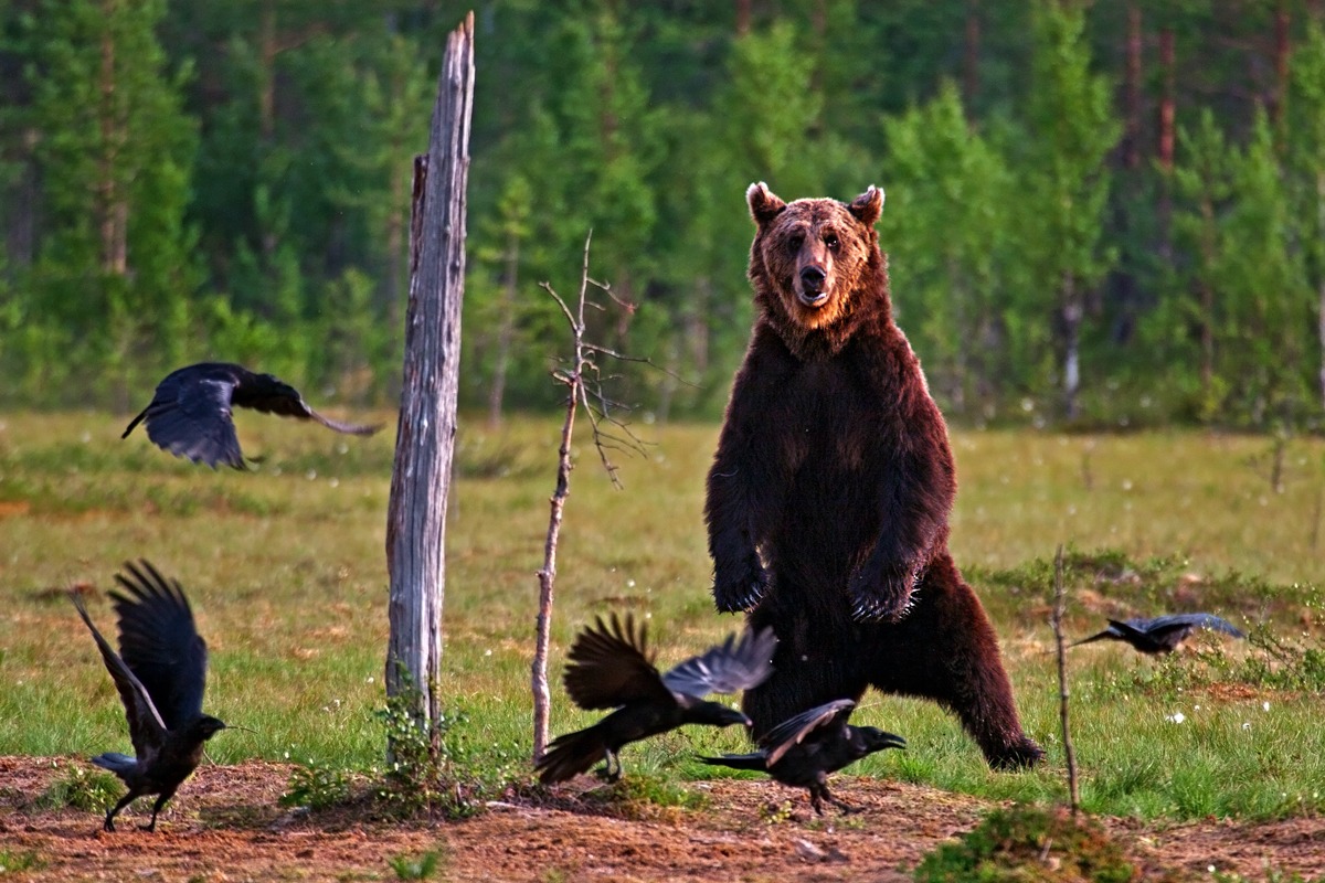 Excuse me, you would dance with me?