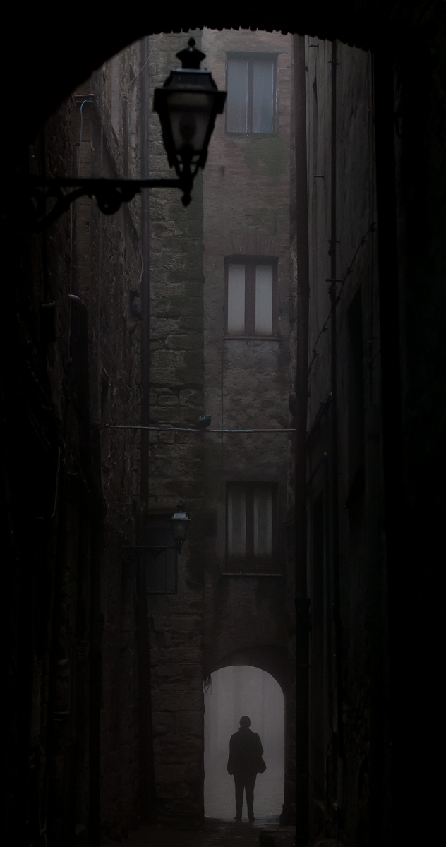 Silent Volterra