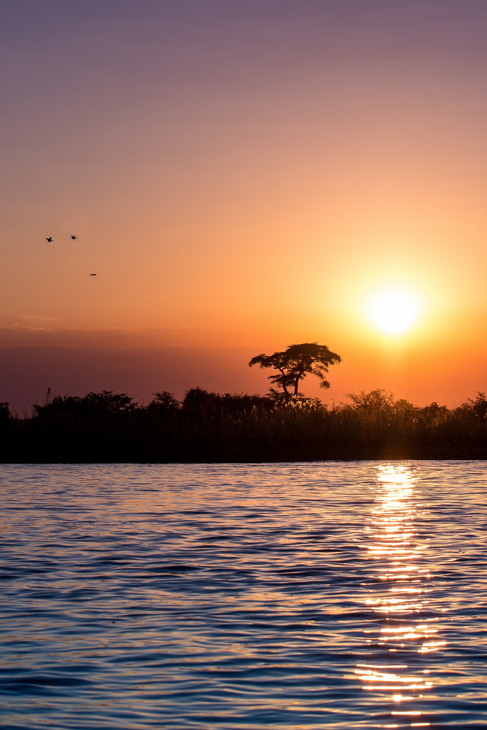 Sunset on the Chobe