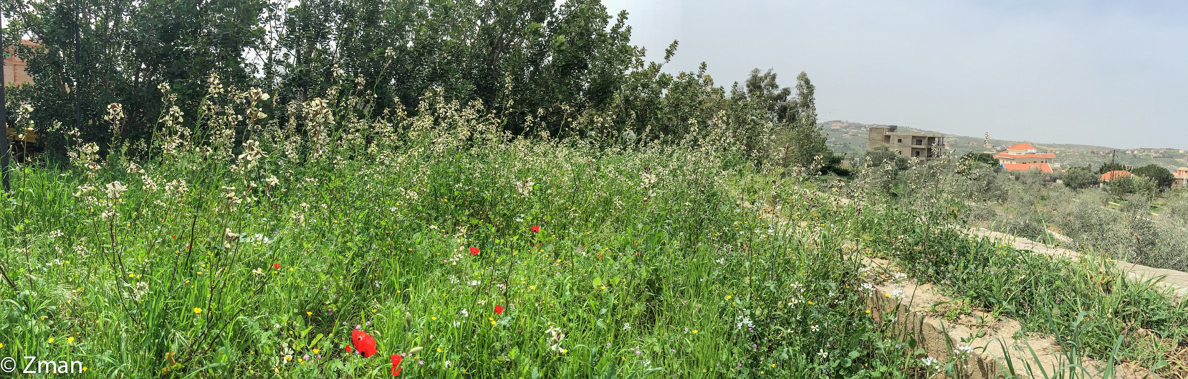 Test mio modo di Iphone 6 Pano