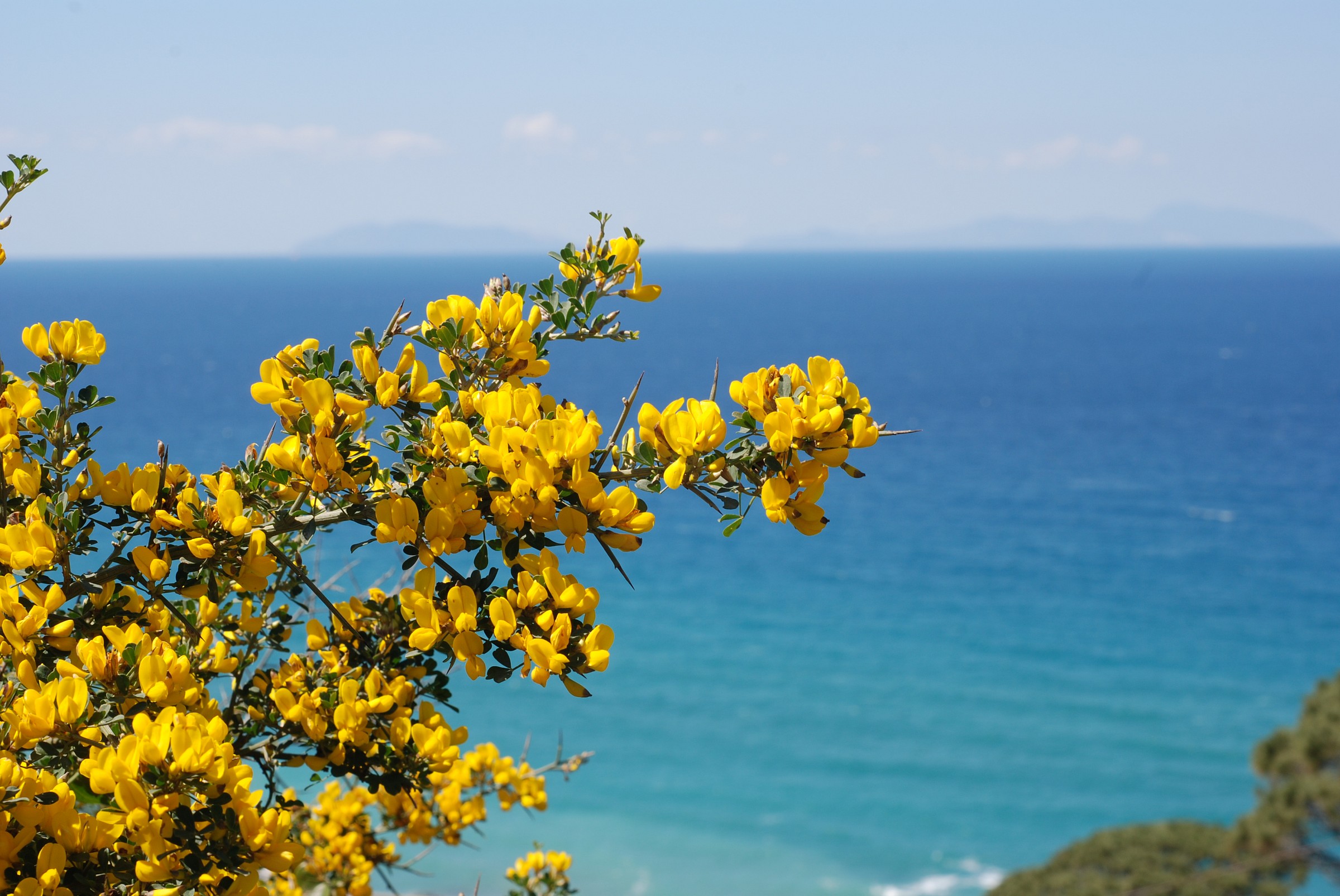 Spring in Sicily