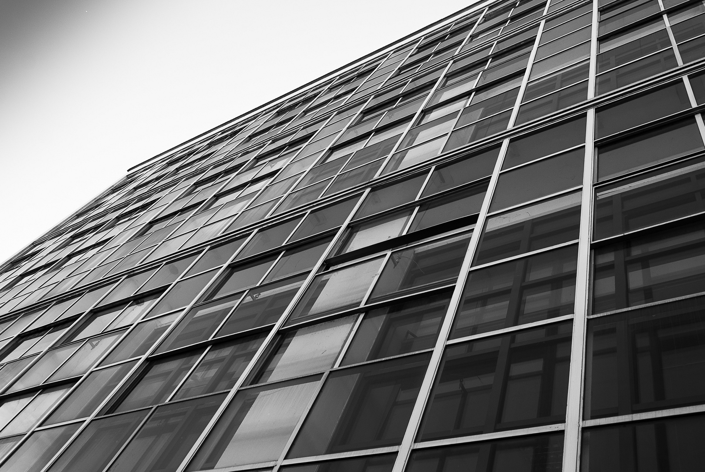 Ivrea Palace New ICO (detail)