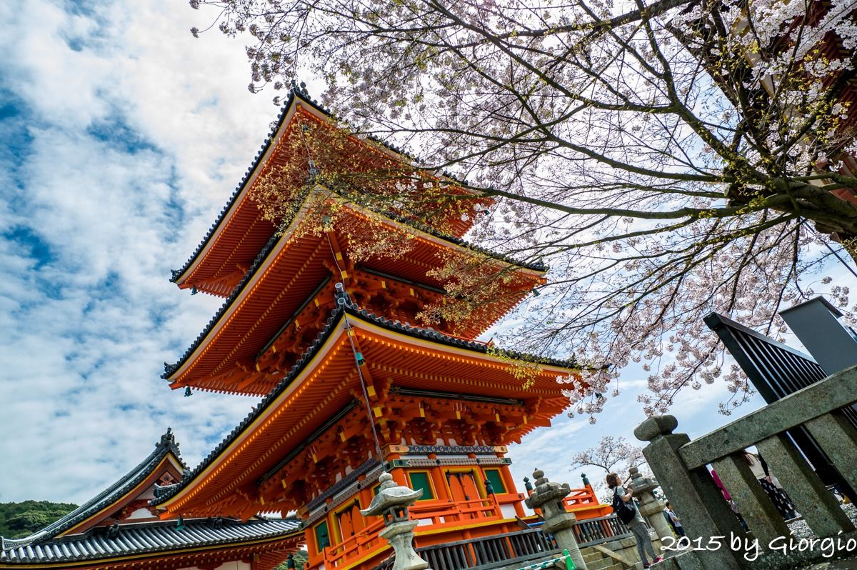 Kyoto 3