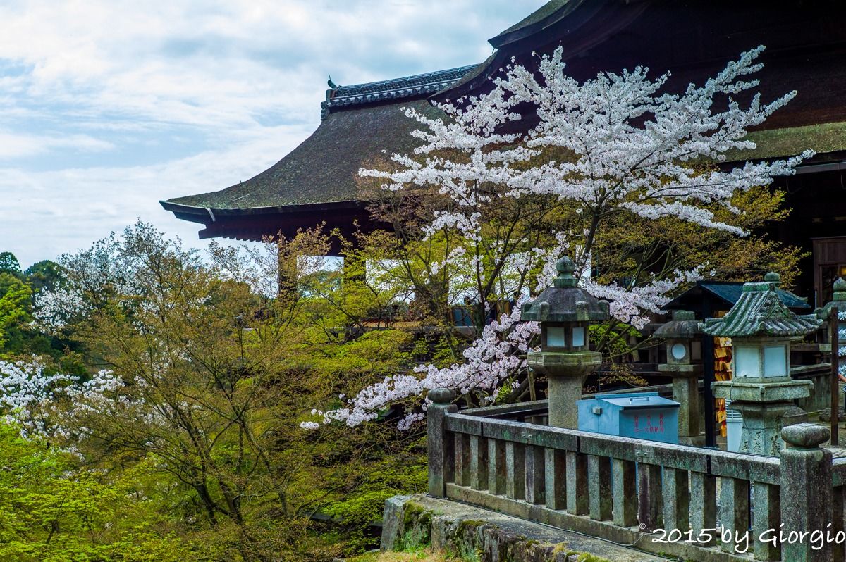 Kyoto 5