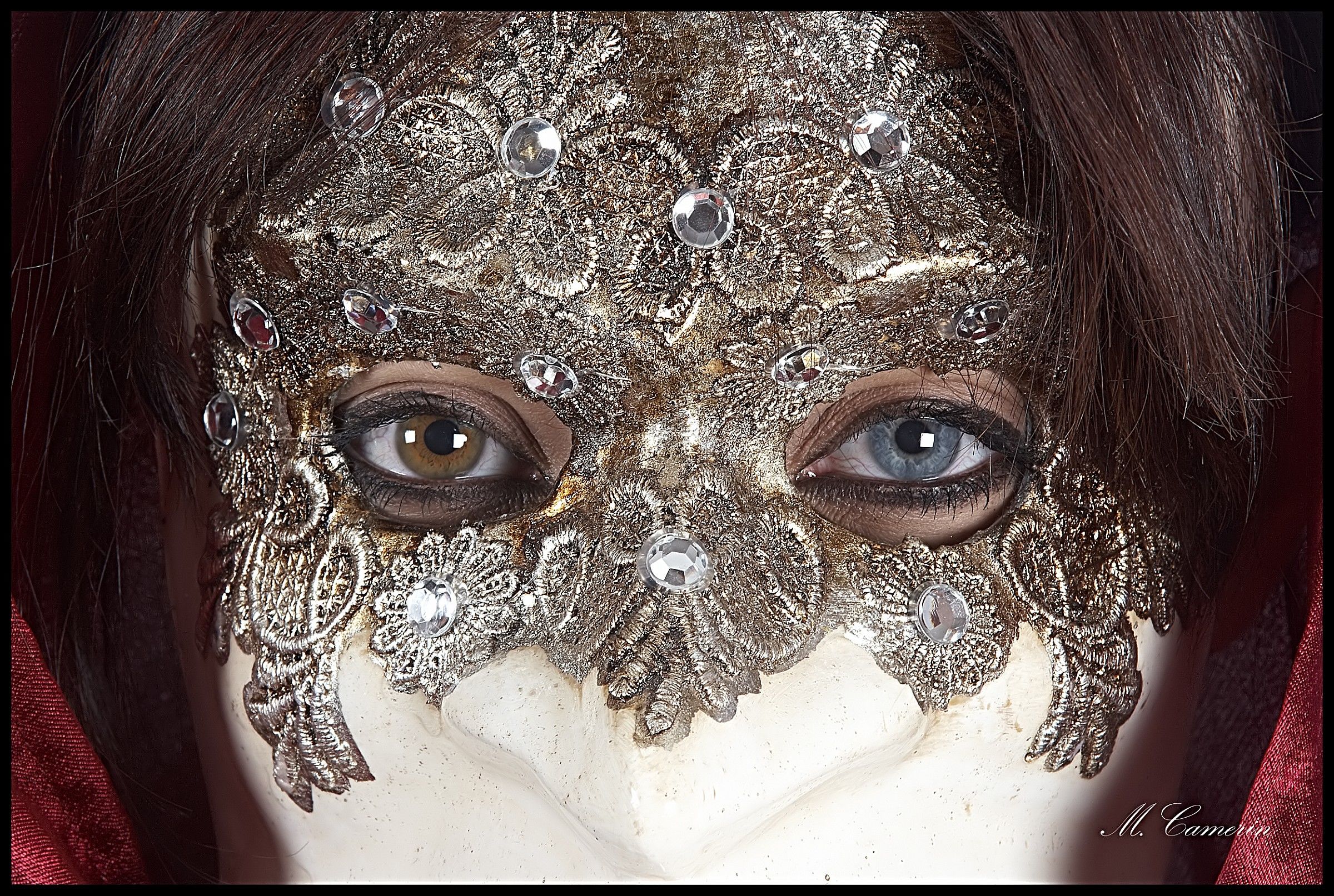 Venetian Mask